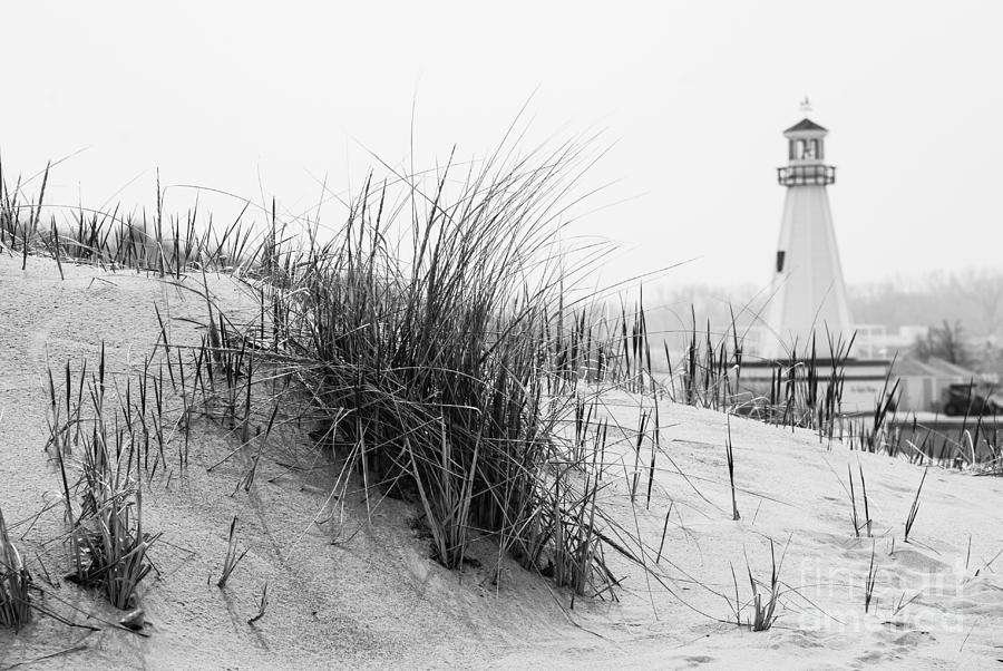 New Buffalo Michigan Lighthouse and Beach Grass Photograph by Paul Velgos