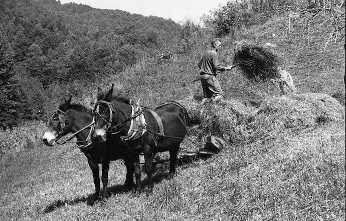 Appalachian Farmers working the land