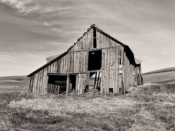 Bw Of Old Barn Stock Photo - Download Image Now - Barn, Old, Abandoned -  iStock