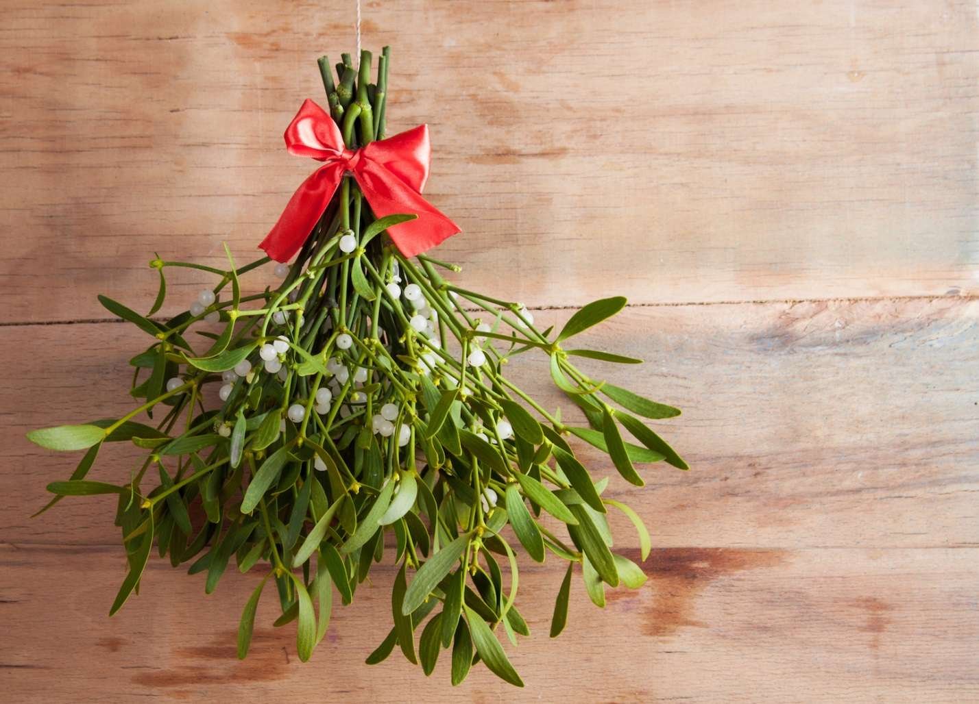 https://cff2.earth.com/uploads/2018/12/25110033/How-mistletoe-became-an-icon-of-Christmas.jpg