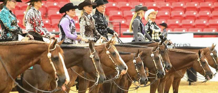 AQHA CHAMPIONSHIP - Do You Want to be a Champion?