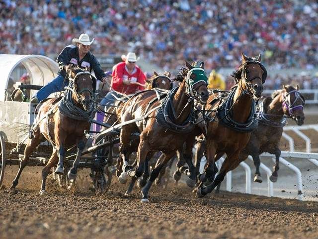 Calgary Stampede