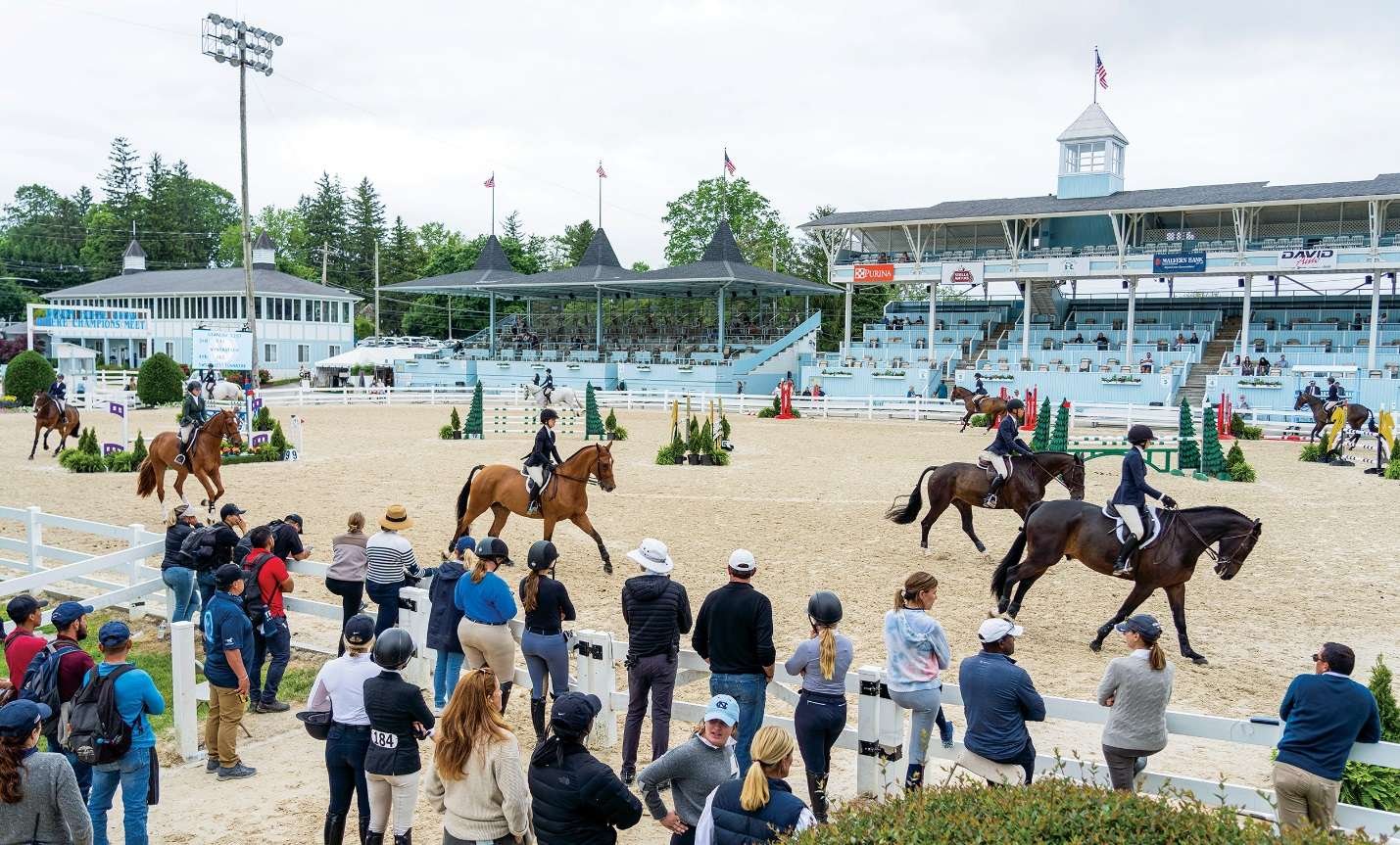 Our Favorite Spots at the Horse Show: Devon - The Plaid Horse Magazine