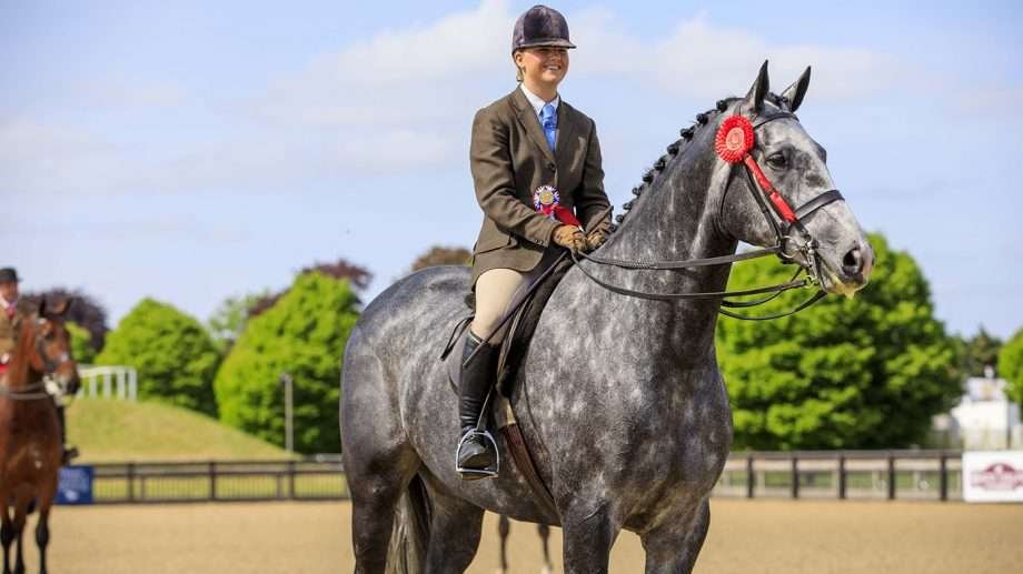 Winners from the 2022 Royal Windsor Horse Show - Horse & Hound