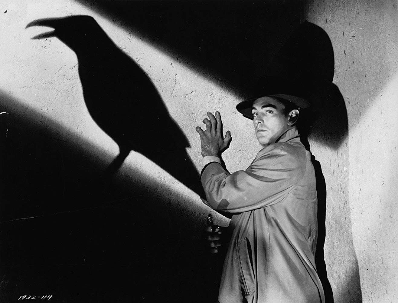 Alan Ladd as "Philip Raven" in a 1942 promotional photo for the wartime film  noir "This Gun For Hire" : r/OldSchoolCool