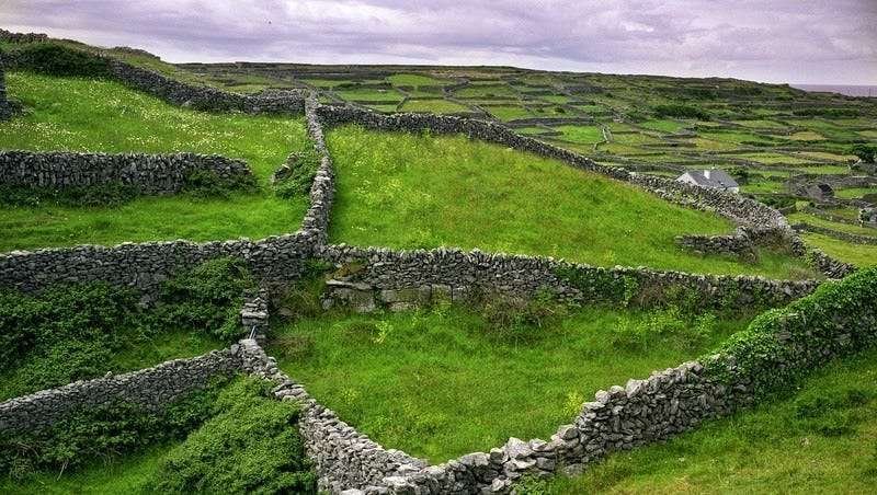 Stone fences an ode to early Irish immigrants