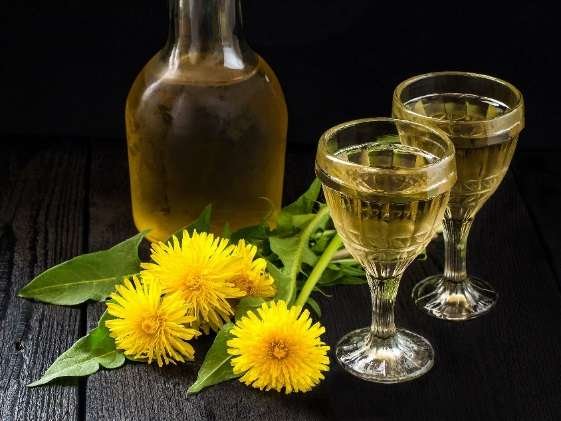 Dandelion Flower Wine Recipe