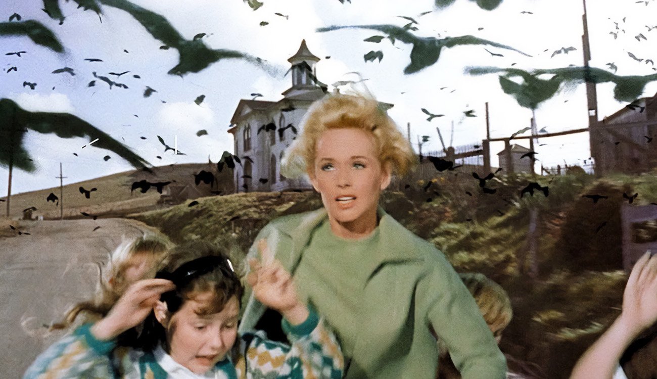 Forces of Nature: The Power of Hitchcock's 'The Birds' 60 Years Later -  Bloody Disgusting