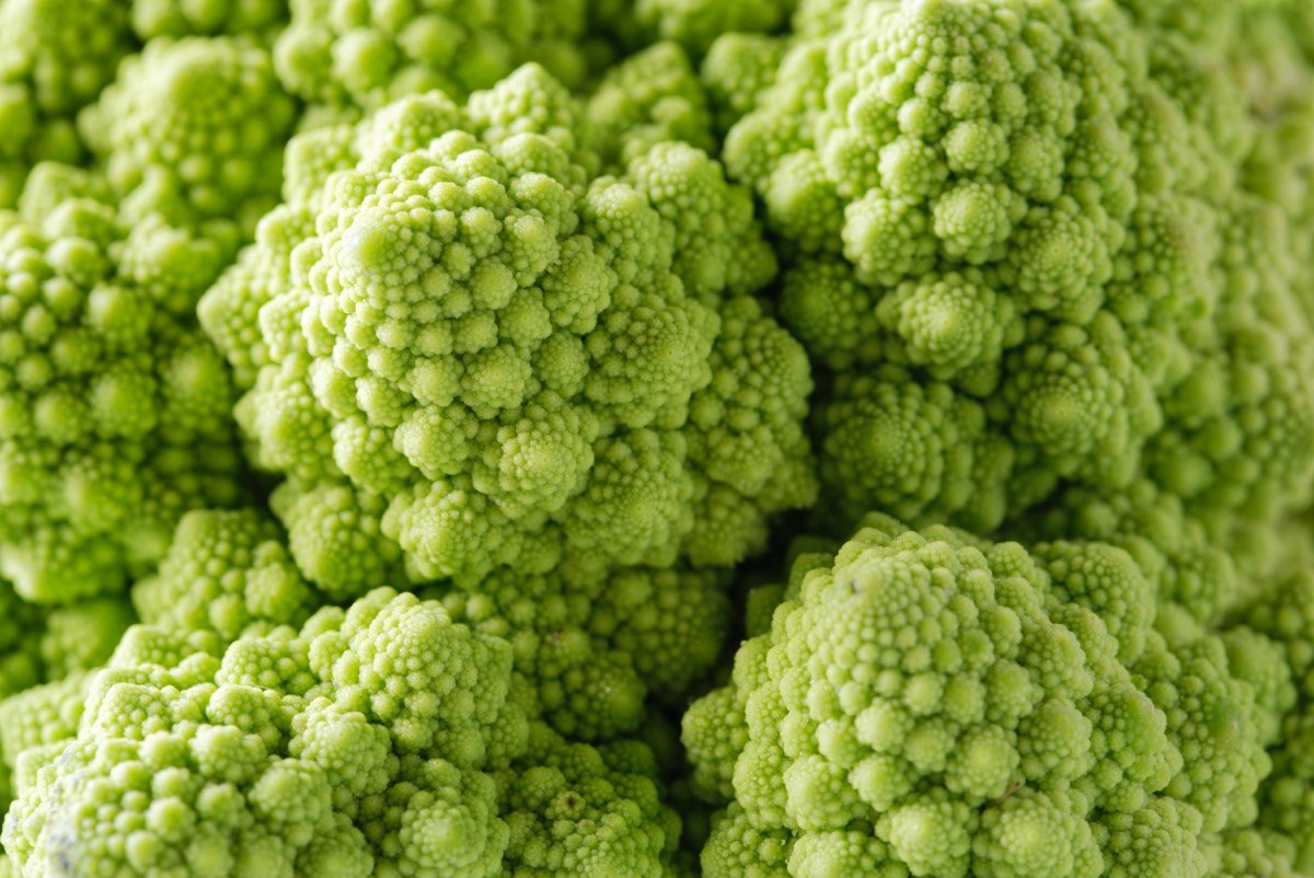 What fractals, Fibonacci, and the golden ratio have to do with cauliflower - Ars Technica