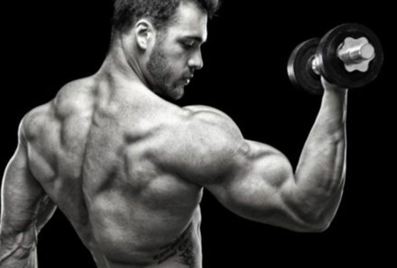 5 Alpha Male Traits To Have Inside The Gym As Well As In Life