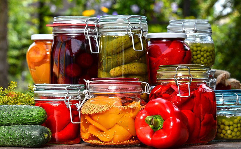 Dammann's Garden Company – PICKLING 101