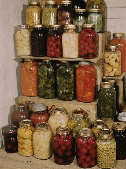 https://upload.wikimedia.org/wikipedia/commons/7/7e/PreservedFood1.jpg