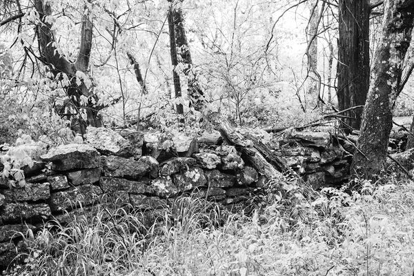Black and White Landscape Photograph of an Old Stone Wall in the Woods –  Keith Dotson Photography