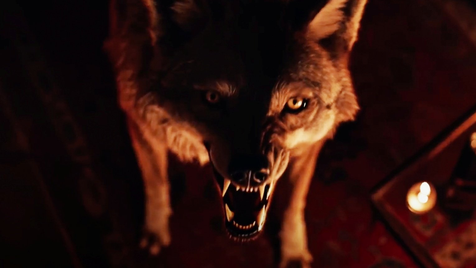 Coyotes: Trailer 1