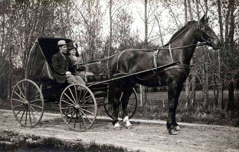 Horse and buggy is how the first Americans discovered America. It was not  very effective because it took a very long time, an… | Horses, Horse and  buggy, Ghost tour