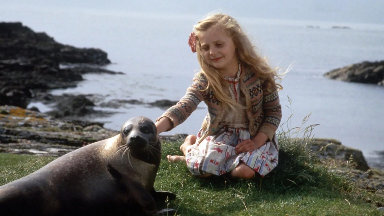 John Sayles 1994 family classic The Secret of Roan Inish screens March 9 and 10 at the Palm Theatre