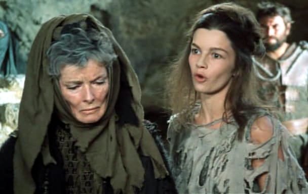 Picture of The Trojan Women