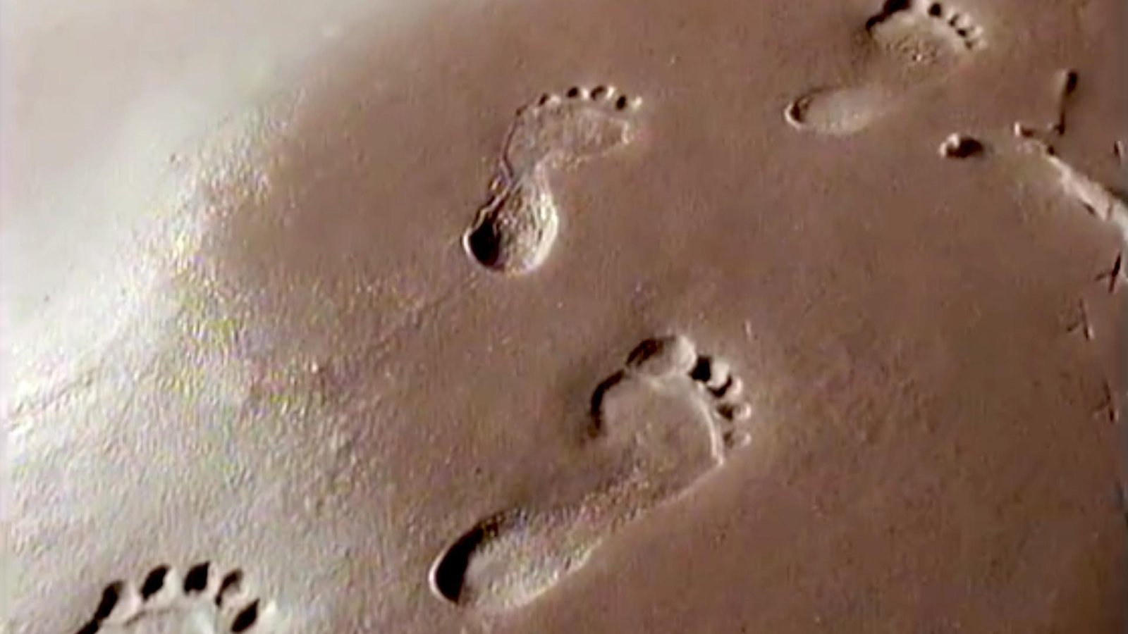 Laetoli Footprints