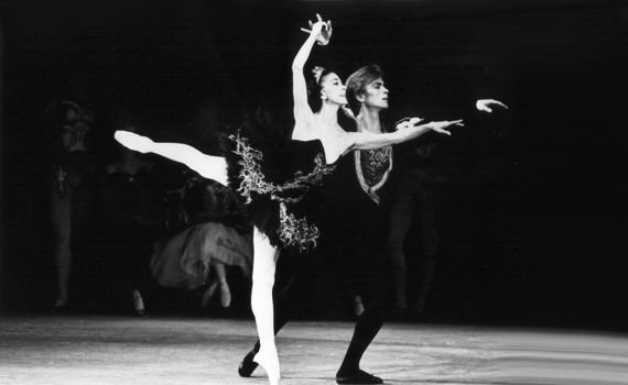 Nureyev dancing in Swan Lake - Rudolf Nureyev Foundation | Rudolf noureev, Margot fonteyn, Noureev