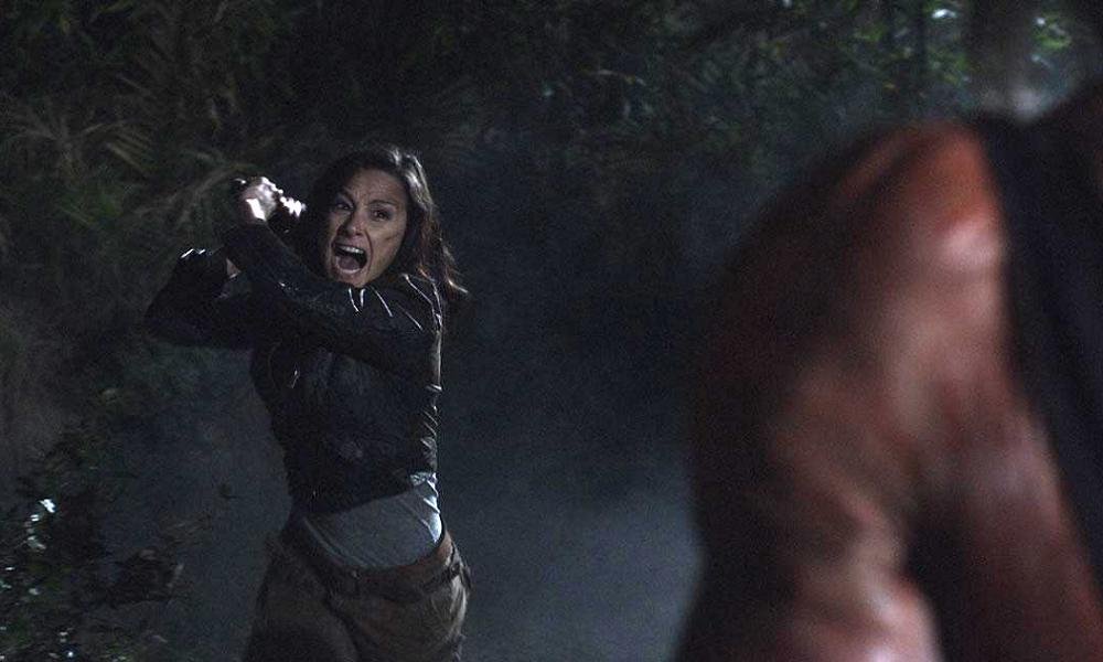 Hatchet II (2010)